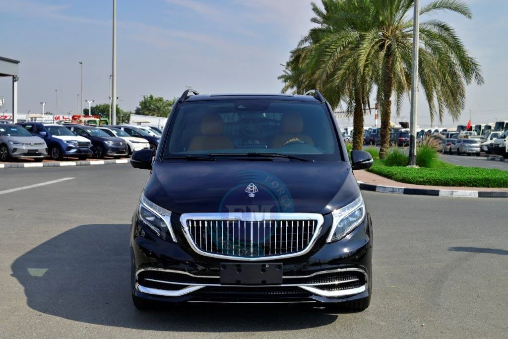 MERCEDES BENZ VIP EDITION