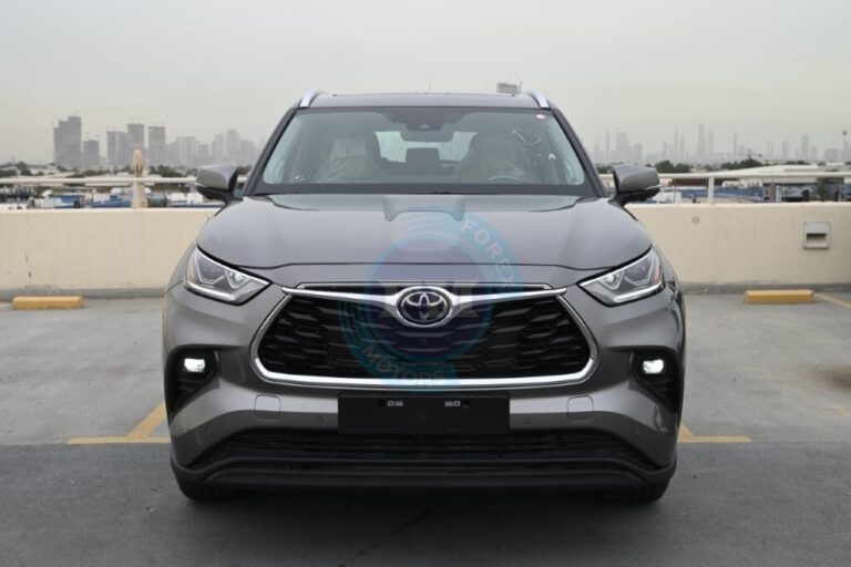 HIGHLANDER LIMITED HYBRID