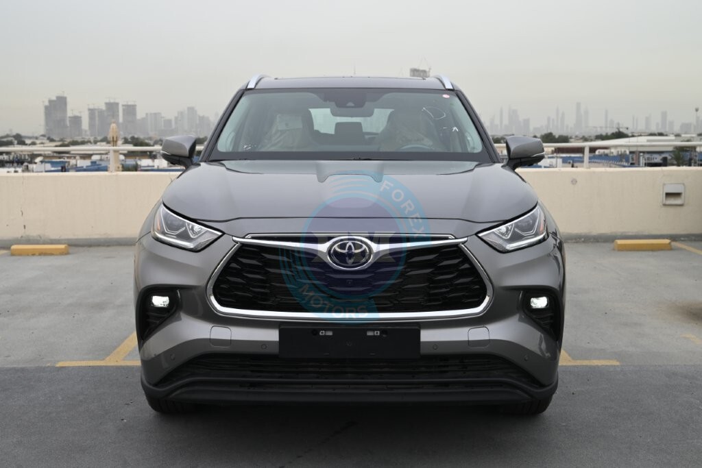 HIGHLANDER LIMITED HYBRID