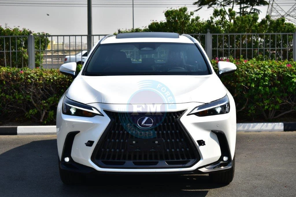 Lexus NX350 Elite