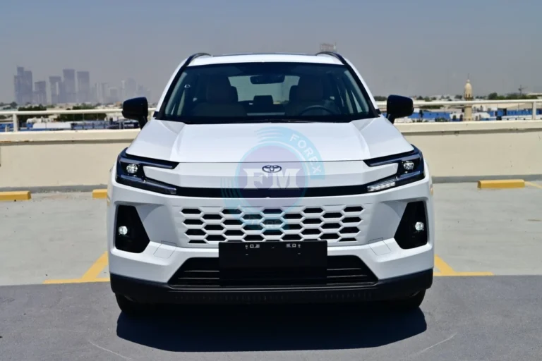RAV4 XLE 2.0L